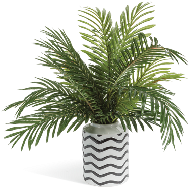Palm Trees (650x650), Png Download