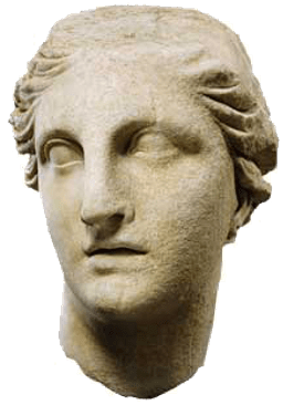 Athena - Blackwell Companion To Medical Sociology (400x400), Png Download