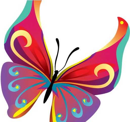 Minnesota Timberwolves Clipart Butterfly - Butterfly Vector Image Png (640x480), Png Download