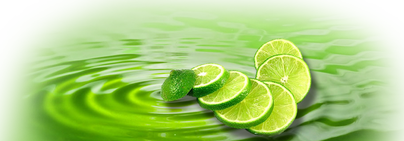 Website Design Company Camberley - Lime Design (826x289), Png Download