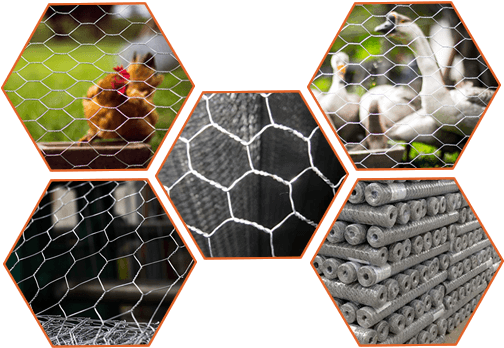 Steel Hexagonal Wire Mesh Can Be Used For Chicken Wire - Wire (520x360), Png Download