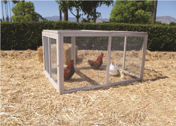 Creates A Safe And Secure Environment For Chickens - Petmate Precision Extreme Hen House Extension Pen, (600x600), Png Download