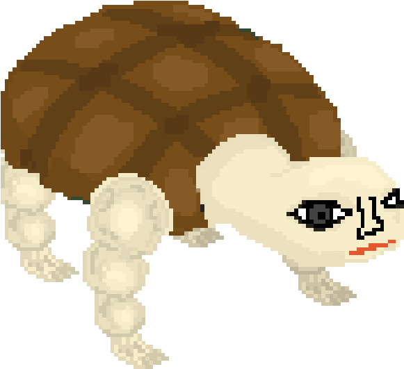 Stand By Derry 🎈 On Twitter - Tortoise (720x720), Png Download