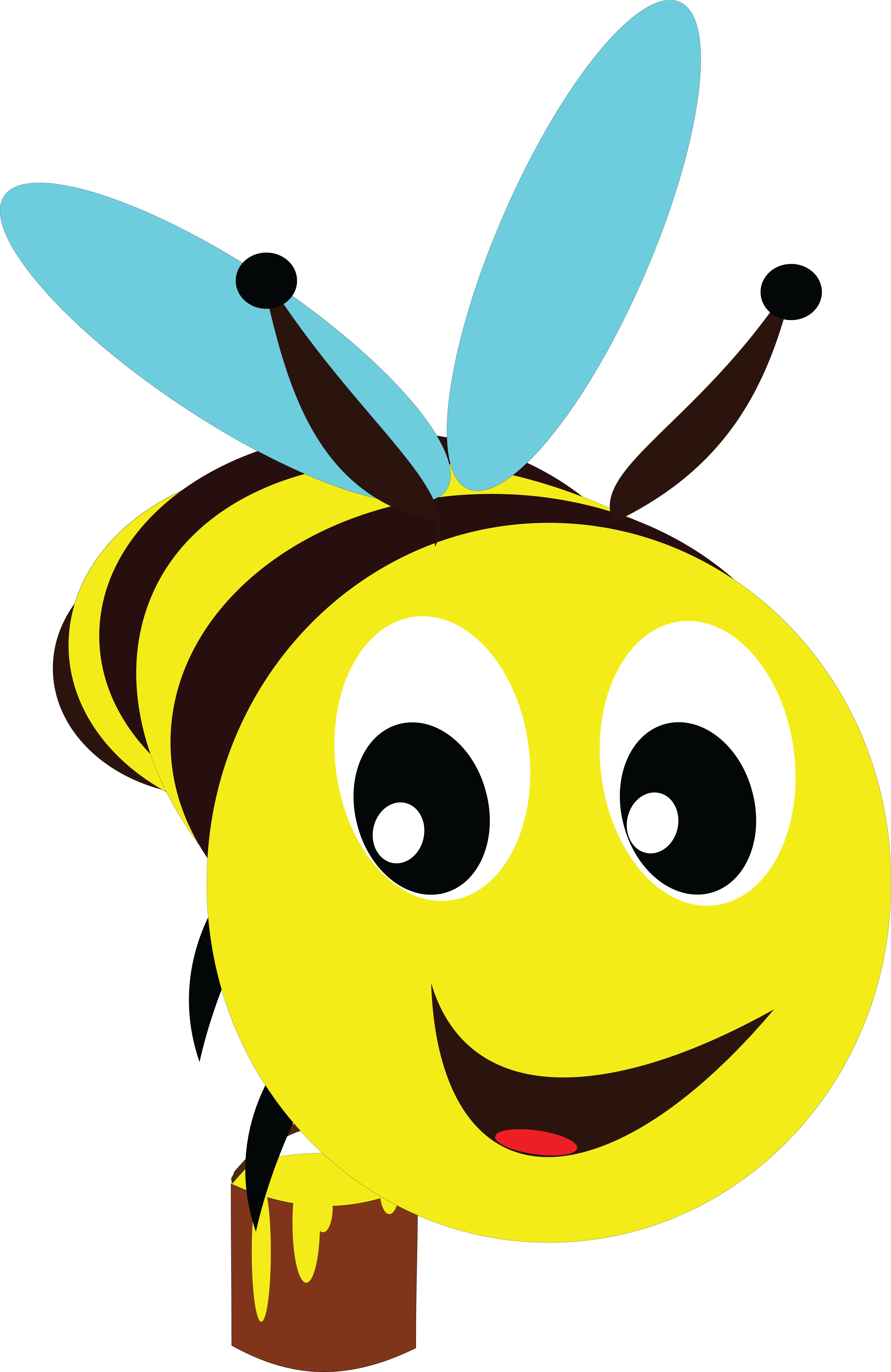 Bee Head Clipart (4000x6158), Png Download