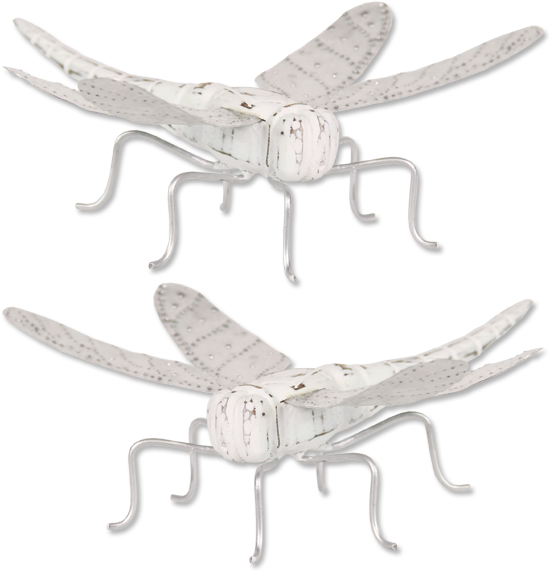 White Dragonfly - Dragonfly (600x600), Png Download
