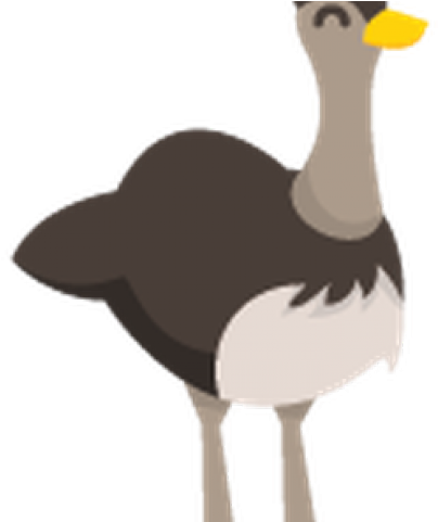 Cartoon Easy Australian Animals (640x480), Png Download