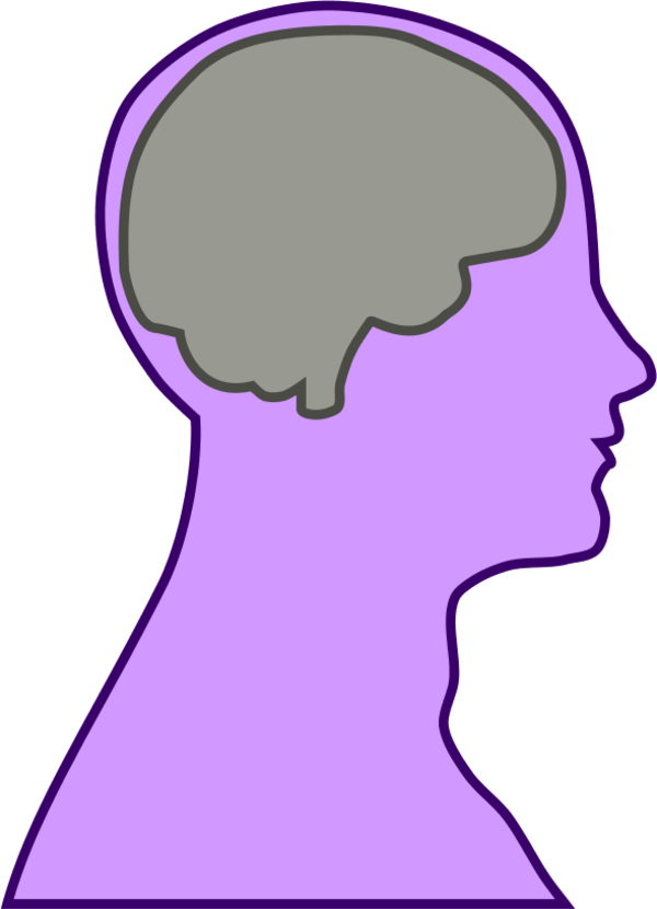 Brain Human Man - Brain Clip Art (600x830), Png Download