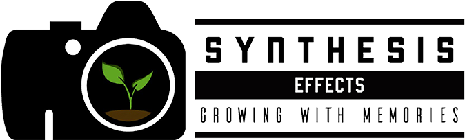 Perspectives Film Festival - Graphic Design (715x500), Png Download