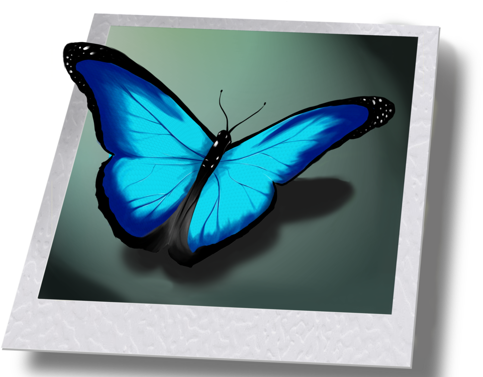 Life Is Strange Png - Butterfly From Life Is Strange (1024x749), Png Download
