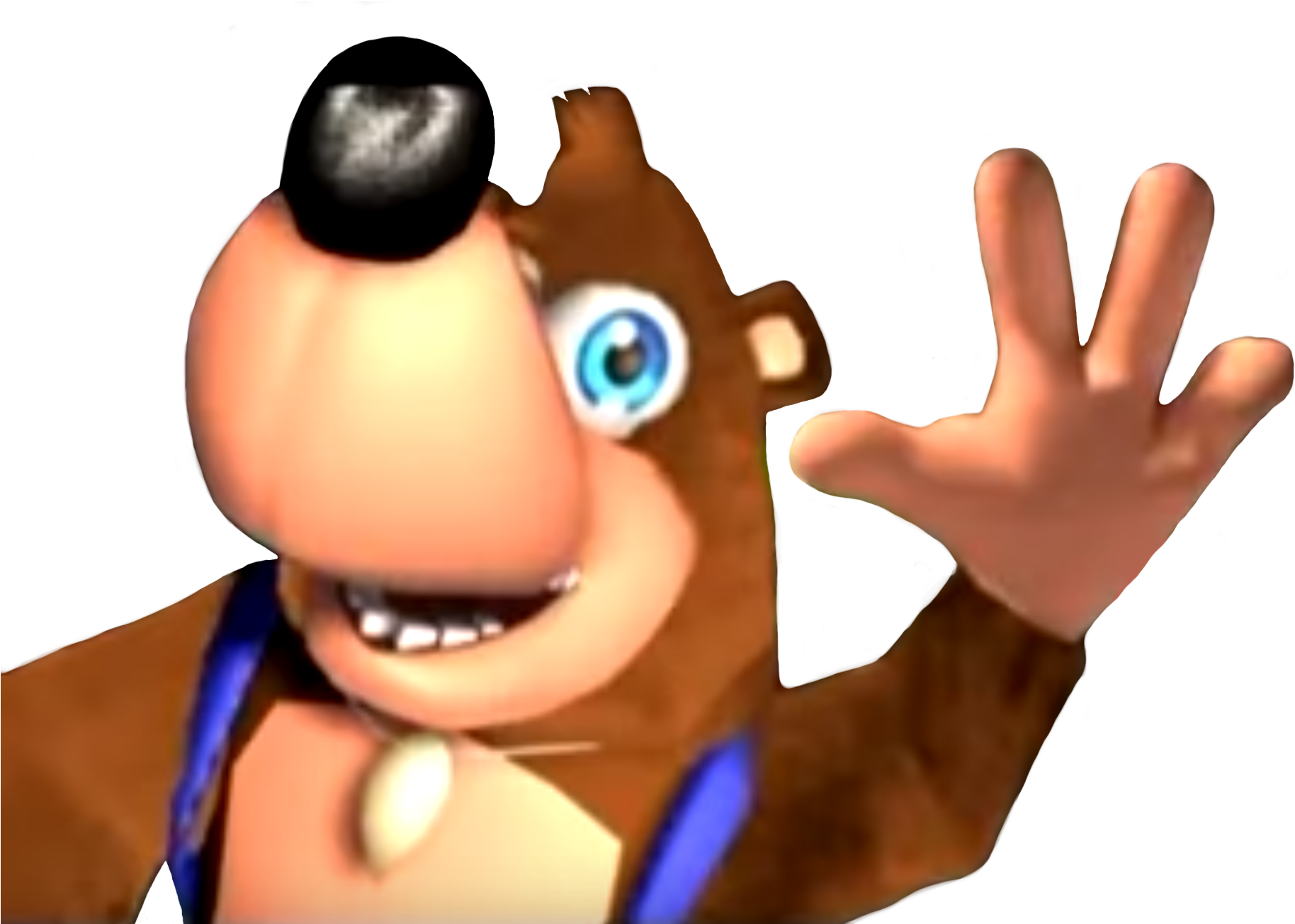 Download 957 Kb Png Voice Of Banjo Kazooie Transparent PNG Download