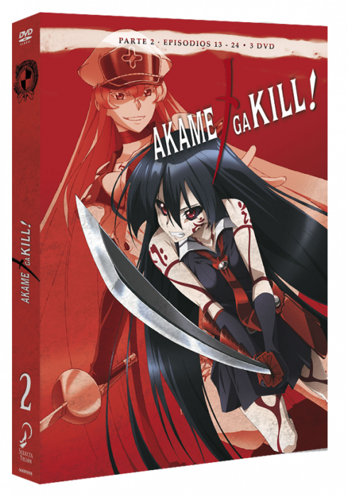 Akame Ga Kill Episodios 13 A 24 Dvd - Akame Ga Kill (490x700), Png Download