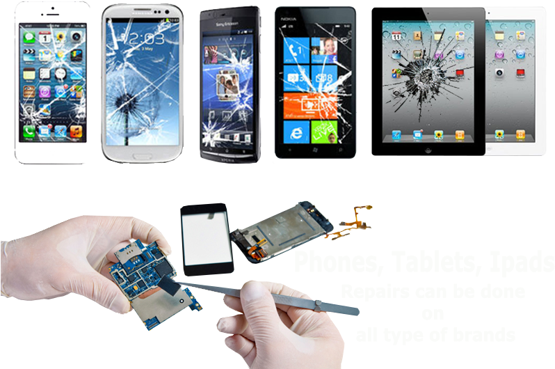 Image01 - Image02 - Image03 - Image04 - Cellular Repair (800x550), Png Download