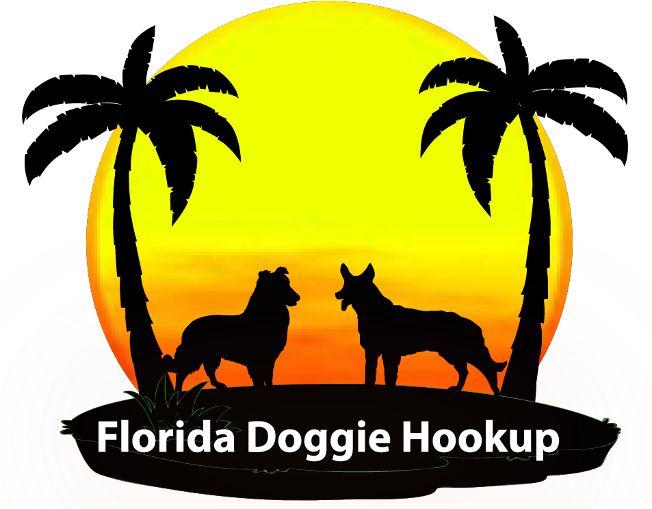 Finding Amazing Florida Dog Parks Is Only A Click Away - Silhouette (952x759), Png Download