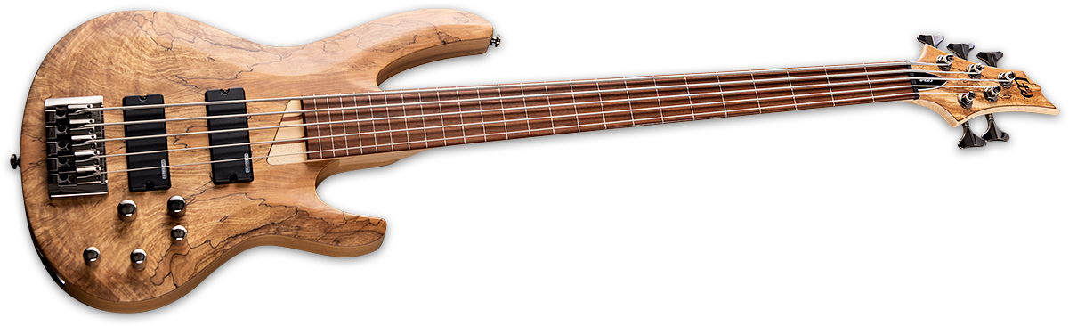 Xlarge - Fender Fretless Jazz Bass Custom (1200x373), Png Download