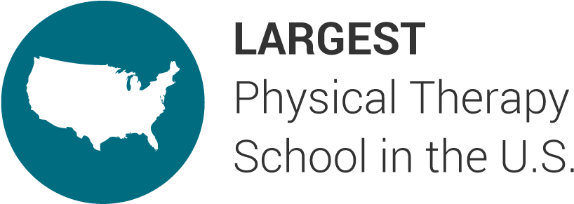 Largest Physical Therapy School In The Us - Graphic Design (941x373), Png Download