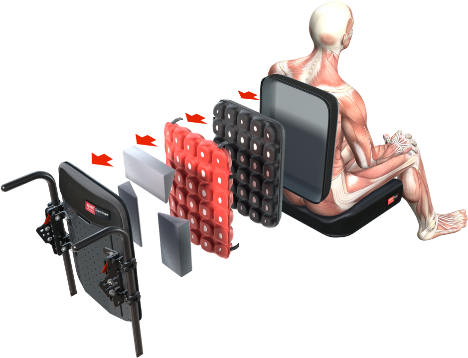 Spex™ Is Essentially Made Up Of A Powerful Combination - Spex Supershape (1000x773), Png Download