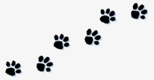 Paw Print Png Png Images Png Cliparts Free Download On Seekpng