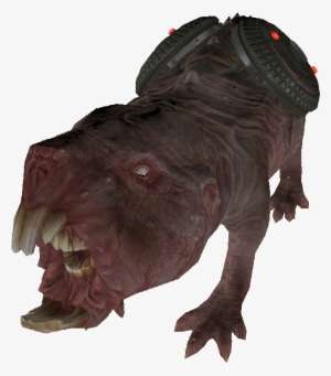 Pack Rat Fallout Vault Boy Png Image Transparent Png Free Download On Seekpng