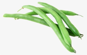 Green Beans Royalty Free Vector Clip Art Illustration - Green Beans ...