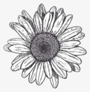 29+ Aesthetic Transparent Gotas Png Tumblr PNG