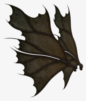 Fairy With Leaf Wings PNG Image | Transparent PNG Free Download on SeekPNG