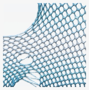 Download Fishing Net Fishing Net Background Png Png Image Transparent Png Free Download On Seekpng