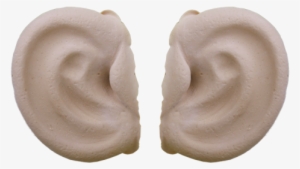 Big Ears2 - Big Ears Png PNG Image | Transparent PNG Free Download on ...