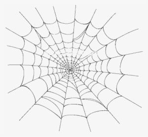 Realistic Spider Web Png Download - Spider Web Vector PNG Image ...