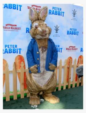 Peter Rabbit Loses His Sh*t Yet Again - Cost Plus World Market PNG ...