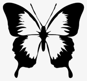 mb image png butterfly clip art png image transparent png free download on seekpng
