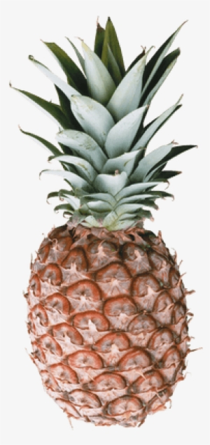Pineapple - Pineapple Marble PNG Image | Transparent PNG Free Download ...
