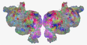 2014 A Flattened Representation Of The Human Brain - Python Shapely PNG ...