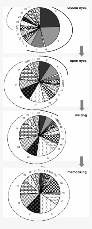 Interchanging Pie Graph The Pie Diagrams During Consecutive Changes Of The - Circle PNG Image ...