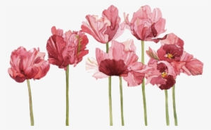 45+ Flower Tumblr Png Flower Clipart Aesthetic Pictures