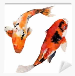 Watercolor Oriental Rainbow Carp Set Carpe Koi Aquarelle Png Image Transparent Png Free Download On Seekpng Watercolor Oriental Rainbow Carp Set Carpe Koi Aquarelle Png Image Transparent Png Free Download On Seekpng