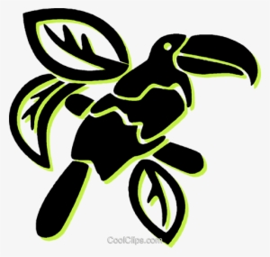 Toucan Royalty Free Vector Clip Art Illustration - Illustration PNG ...