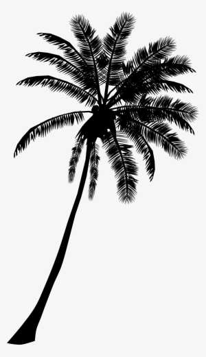Palm Tree Clipart Emoji Palm Trees Clipart Png Png Image Transparent Png Free Download On Seekpng