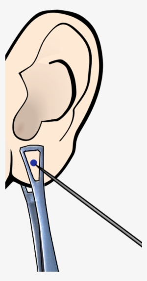 Piercing Ear Clipart - Ear PNG Image | Transparent PNG Free Download on