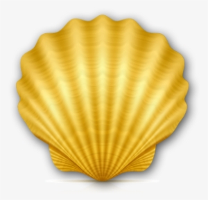 Shell Oracle PNG Image | Transparent PNG Free Download on SeekPNG