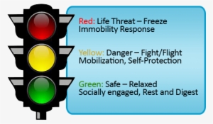 Trafficlight-danger - Fight Flight Freeze Please PNG Image ...