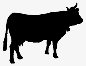 Download Cow Png Cattle Trade And Beef Consumption Png Image Transparent Png Free Download On Seekpng