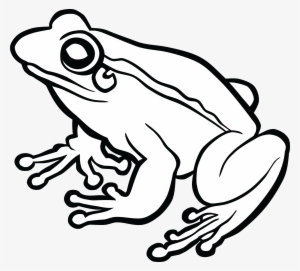 Tree Frog Png Black And White Transparent Tree Frog - Black And White Frog Clip Art