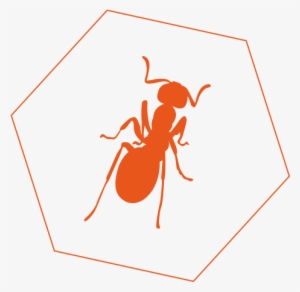 Ant Control - Ant PNG Image | Transparent PNG Free Download on SeekPNG