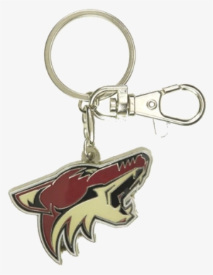 Nhl Arizona Coyotes Aminco Heavyweight Logo Key-chain - New York ...