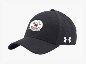 yankees under armour hat