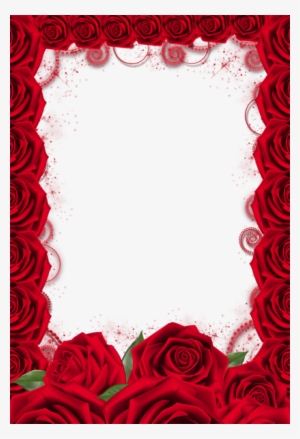 red rose png red roses text background paper background red roses frame png png image transparent png free download on seekpng red rose png red roses text