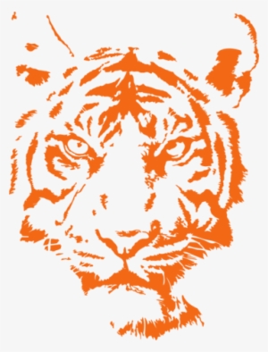 Convert Large Image To Smaller Size