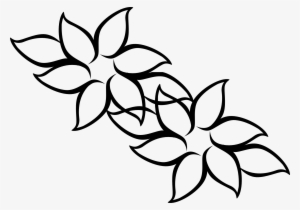 Black Simple Outline Drawing Flower White Flowers Flower Clipart Black And White Outline Png Image Transparent Png Free Download On Seekpng