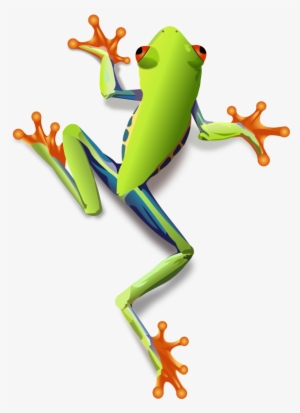 Tree Frog Clipart - Tree Frog Png
