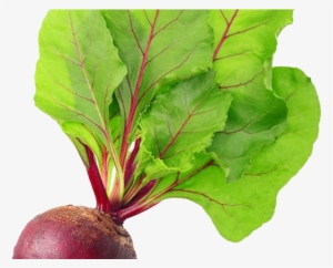 Beetroot - Beetroot Vegetables PNG Image Transparent PNG Free